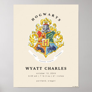 Affiche des statistiques de naissance du bébé HOGW