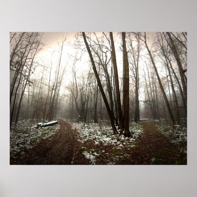 Affiche désarroi (Devant)