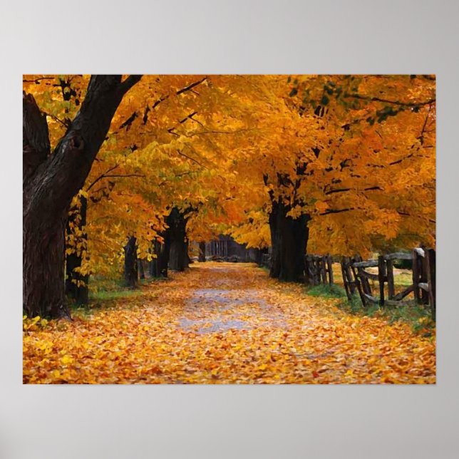 Affiche Descendre la voie de la mémoire de l'automne (Devant)