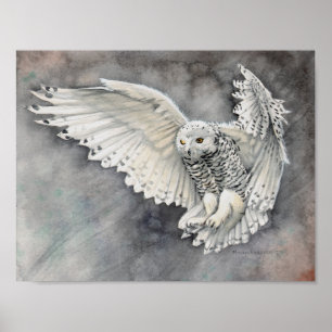 Affiche Descente de la Chouette Blanche Aquarelle Art Faun