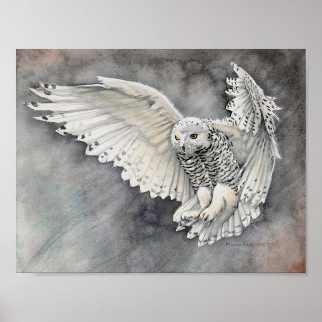 Affiche Descente de la Chouette Blanche Aquarelle Art Faun (Devant)