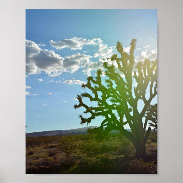 Affiche Desert beauty (Devant)