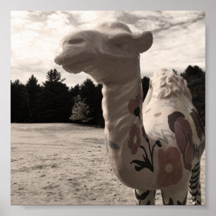 Affiche désert de maine