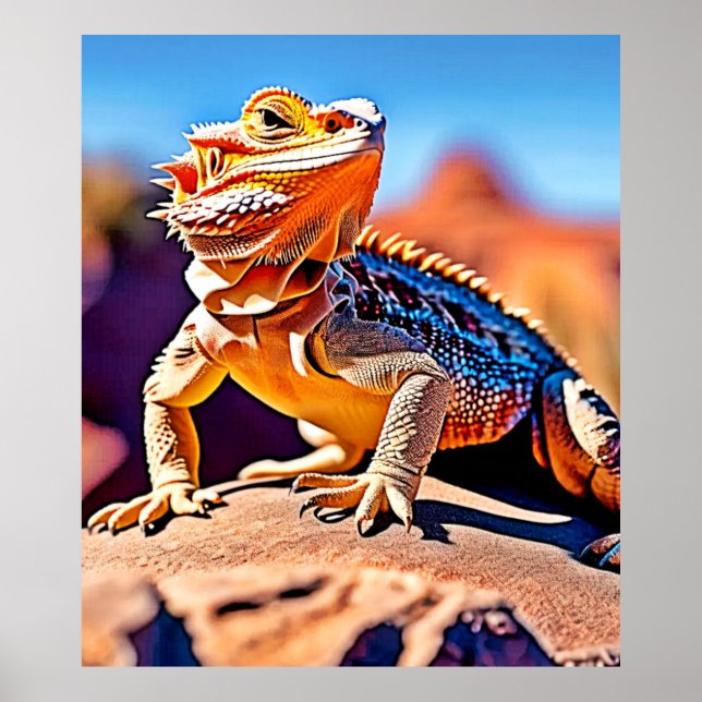 Affiche Desert Lizard Gros plan (Devant)