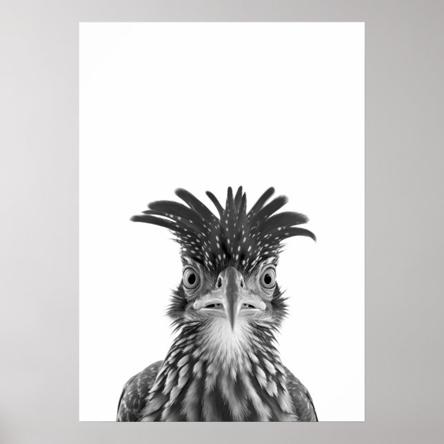 Affiche Desert Road Rund Bird Portrait (Devant)