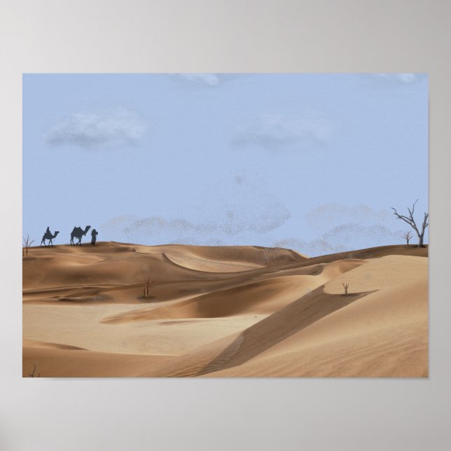 Affiche Desert Soul (Devant)