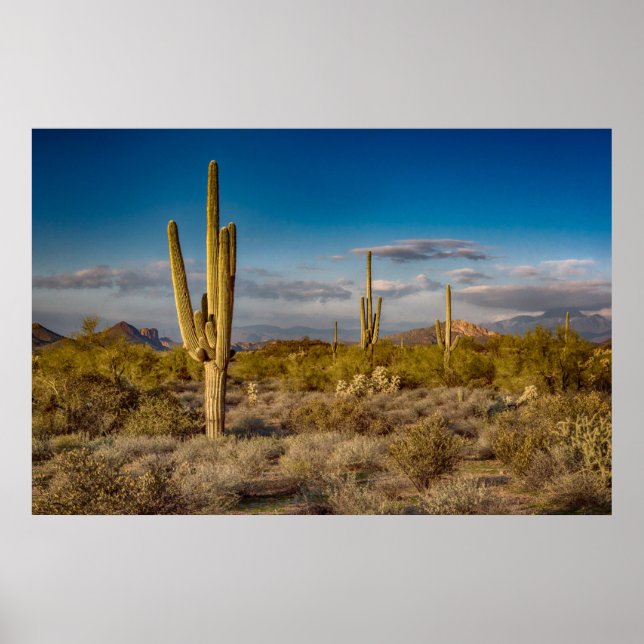 Affiche Deserts | Superstition Mountains, Arizona (Devant)