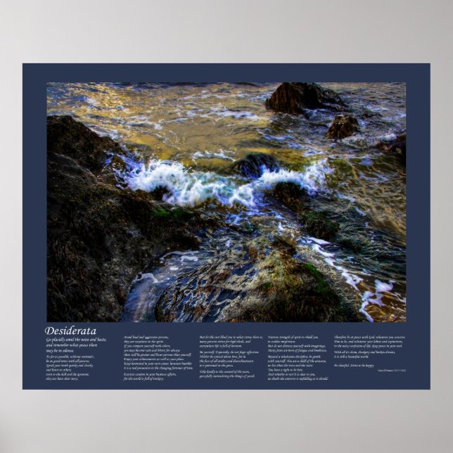 Affiche Desiderata - La Marée De L'Aiguille (Devant)