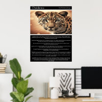 Desiderata : Regard du Far