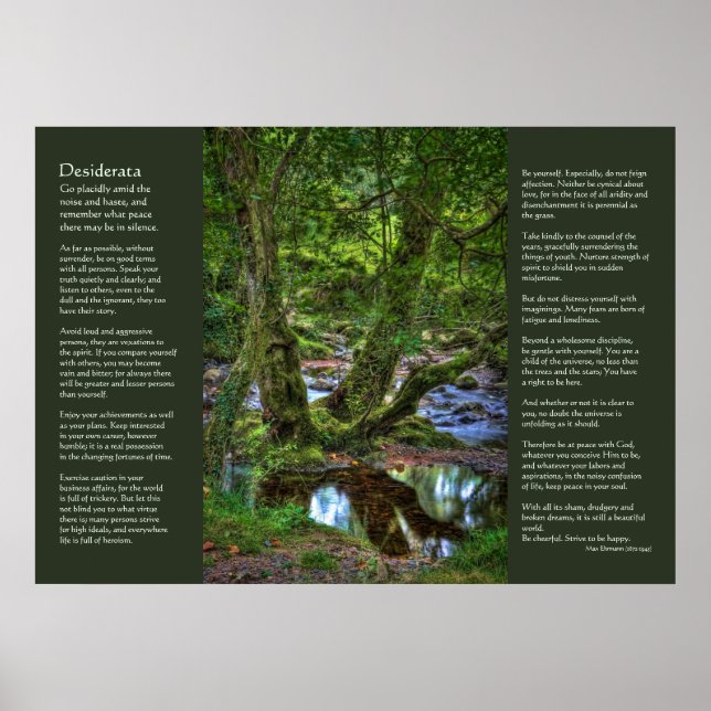 Affiche Desiderata - Spitchwick Creek Trees (Devant)