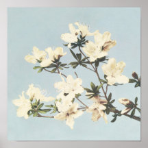 Design botanique antique Azaleas japonais Imprimer