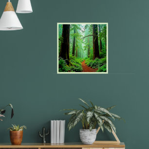 Affiche Design de tranquillité de la forêt de Redwood