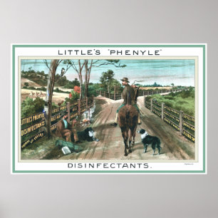 Affiche Désinfectant de l'affiche publicitaire australienn