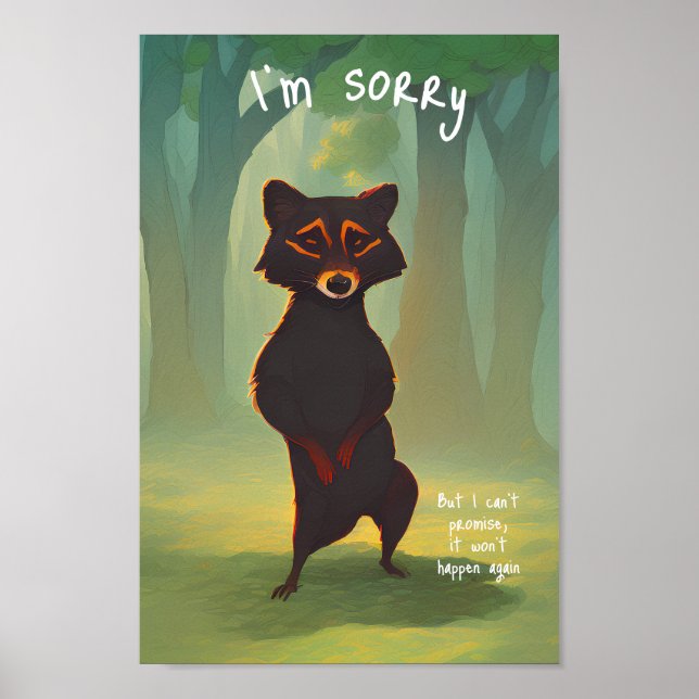 Affiche Désolé, mais je ne peux pas promettre que ça ne se (Devant)