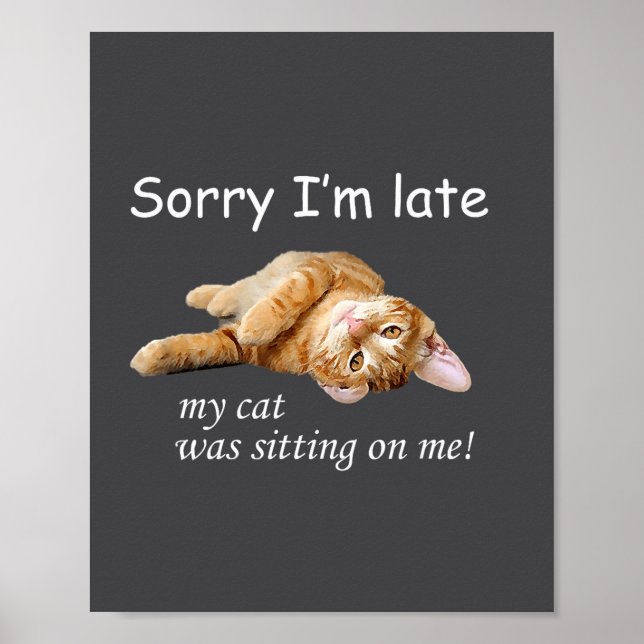 Affiche Désolé pour le retard, mon chat était assis sur mo (Devant)