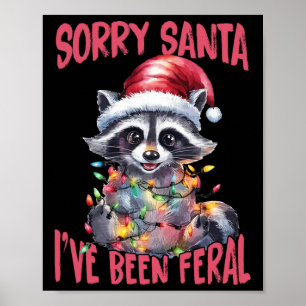 Affiche Désolé Santa j'ai été sauvage Mème de raton laveur