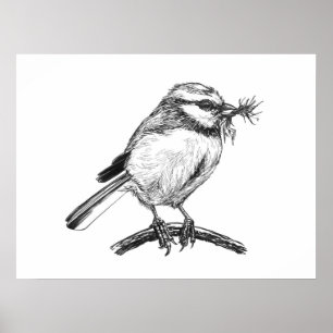 Affiche Dessin à l'encre de mésange bleue