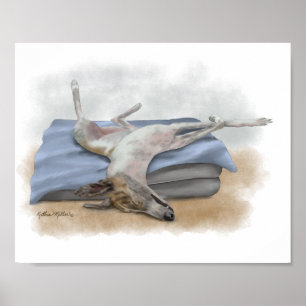 Affiche Dessin animé drôle de lévrier gris endormi