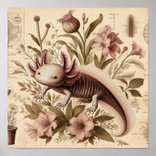 Affiche Dessin Antique d'Axolotl avec Étiquette de Florale