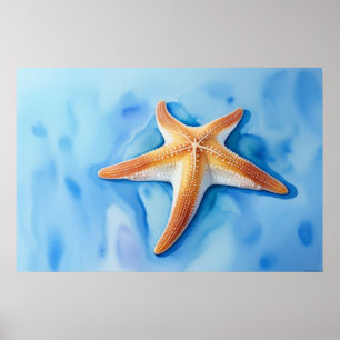 Affiche Dessin aquarelle d'étoile de mer
