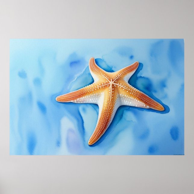 Affiche Dessin aquarelle d'étoile de mer (Devant)