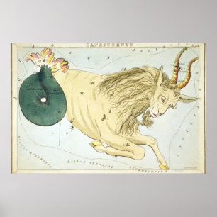 Affiche Dessin astrologique de Capricorne