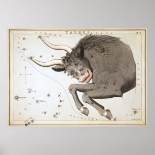Affiche Dessin astrologique de Taurus