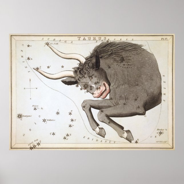 Affiche Dessin astrologique de Taurus (Devant)