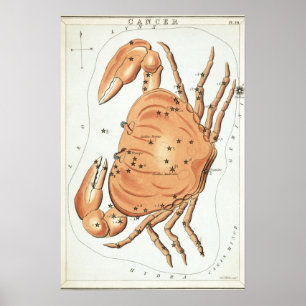 Affiche Dessin astrologique du Cancer