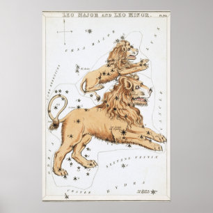 Affiche Dessin astrologique Lion