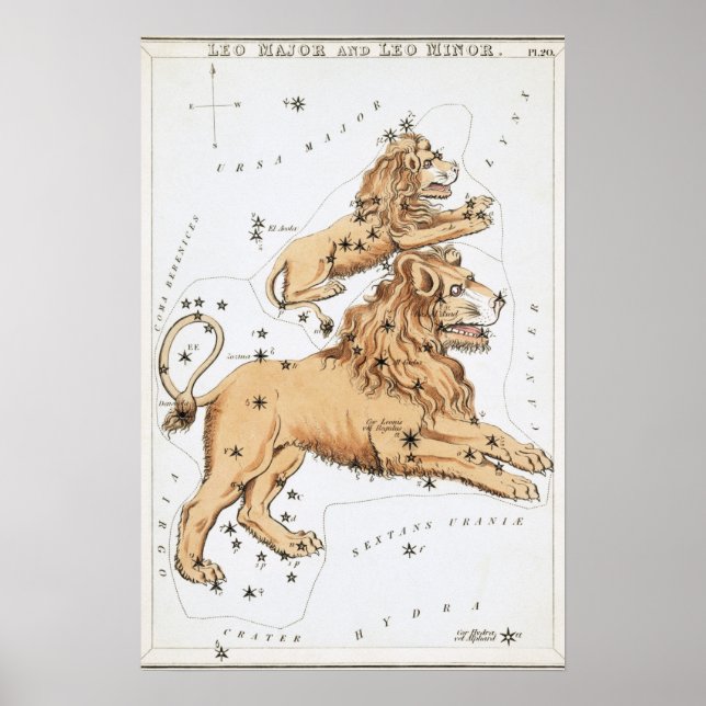 Affiche Dessin astrologique Lion (Devant)