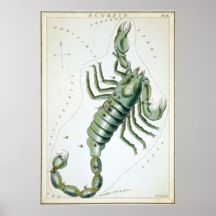Affiche Dessin astrologique Scorpio