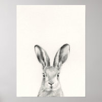 Dessin au crayon de lapin