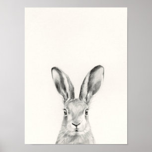 Affiche Dessin au crayon de lapin