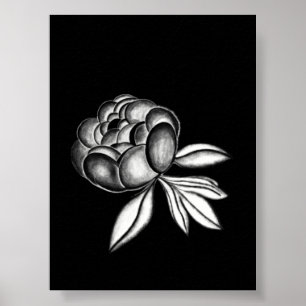 Affiche dessin au crayon de pivoines