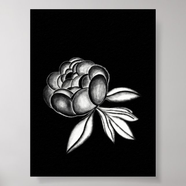 Affiche dessin au crayon de pivoines (Devant)