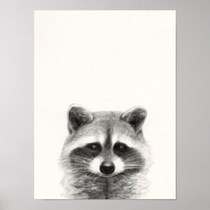 Affiche Dessin au crayon de Raccoon