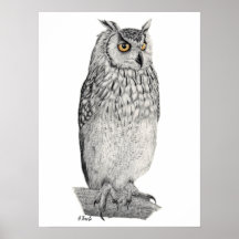 Dessin au crayon Eagle Owl