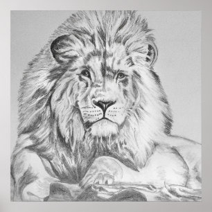 Affiche Dessin au crayon original Dessin d'un lion