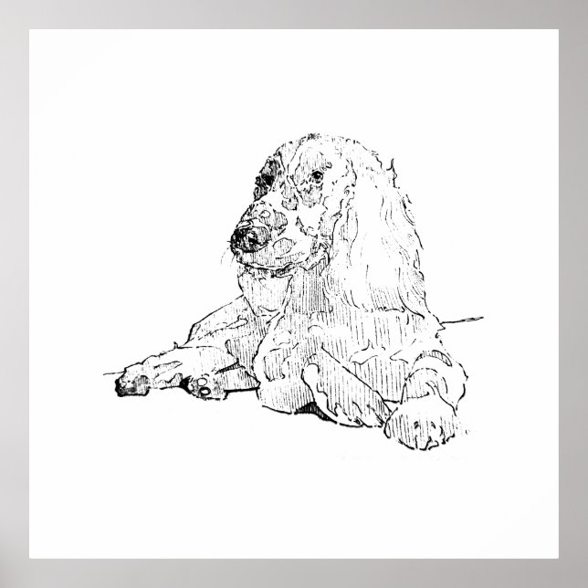 Affiche Dessin au trait de Cocker Spaniel Art Chien  (Devant)