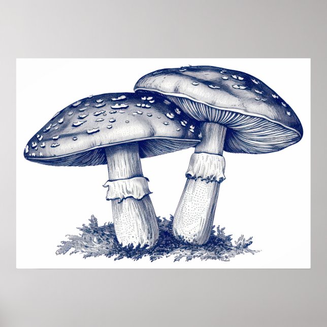 Affiche Dessin aux champignons antiques (Devant)