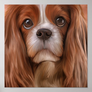 Affiche Dessin Chien Cavalier King Charles Spaniel