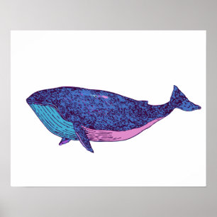 Affiche Dessin d'art de la baleine mignonne en bleu océan