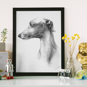 Affiche Dessin d'art de portrait de chien Whippet lévrier 