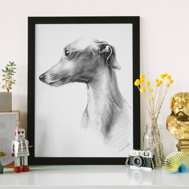 Affiche Dessin d'art de portrait de chien Whippet lévrier  (Créateur téléchargé)