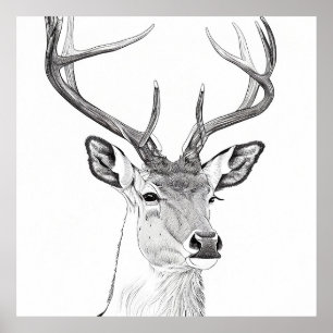 Affiche Dessin d'art d'illustrations d'animaux de la natur