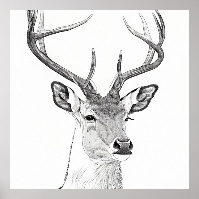 Affiche Dessin d'art d'illustrations d'animaux de la natur (Devant)