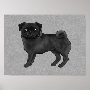 Affiche Dessin de canine de chien Carlin noir Illustration