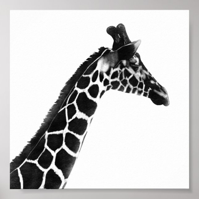 Affiche Dessin de charbon de bois Giraffe (Devant)