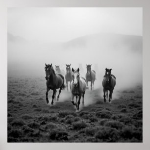 Affiche Dessin de charbon de cheval Majestic - Grace et St